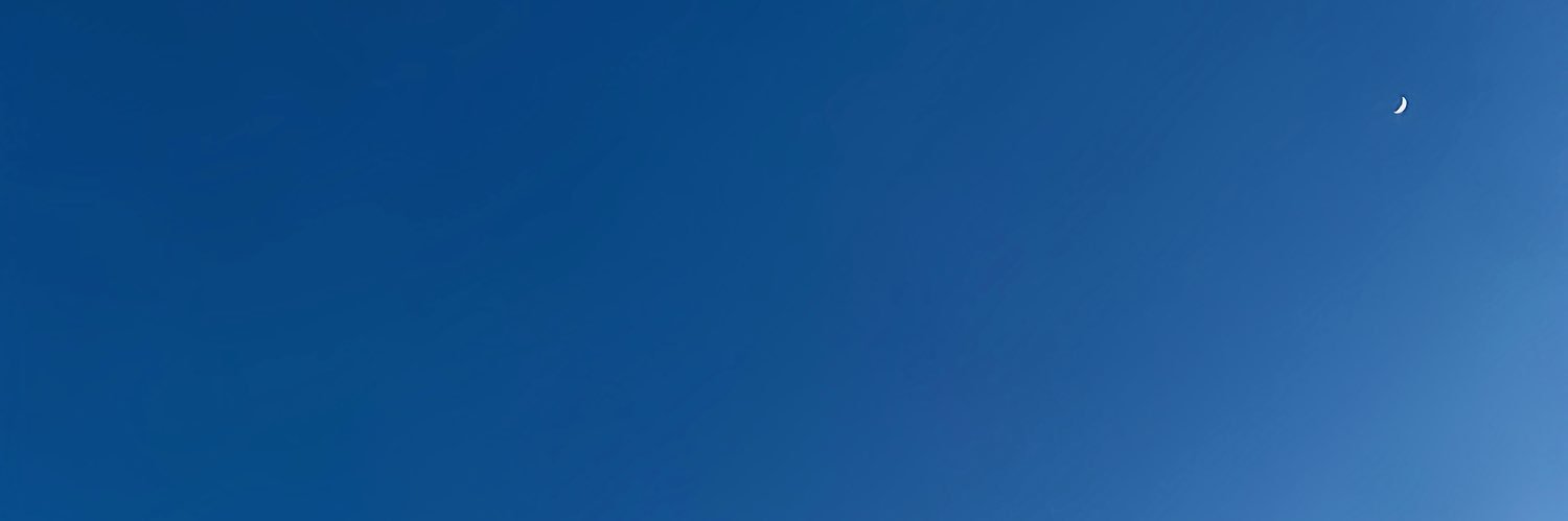 sofia_lancioni's profile banner image