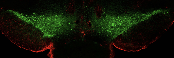 mjbeckstead Profile Banner