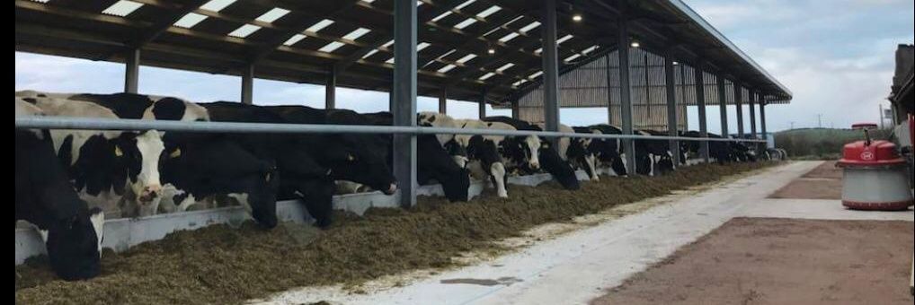 BoltonManor Farm banner