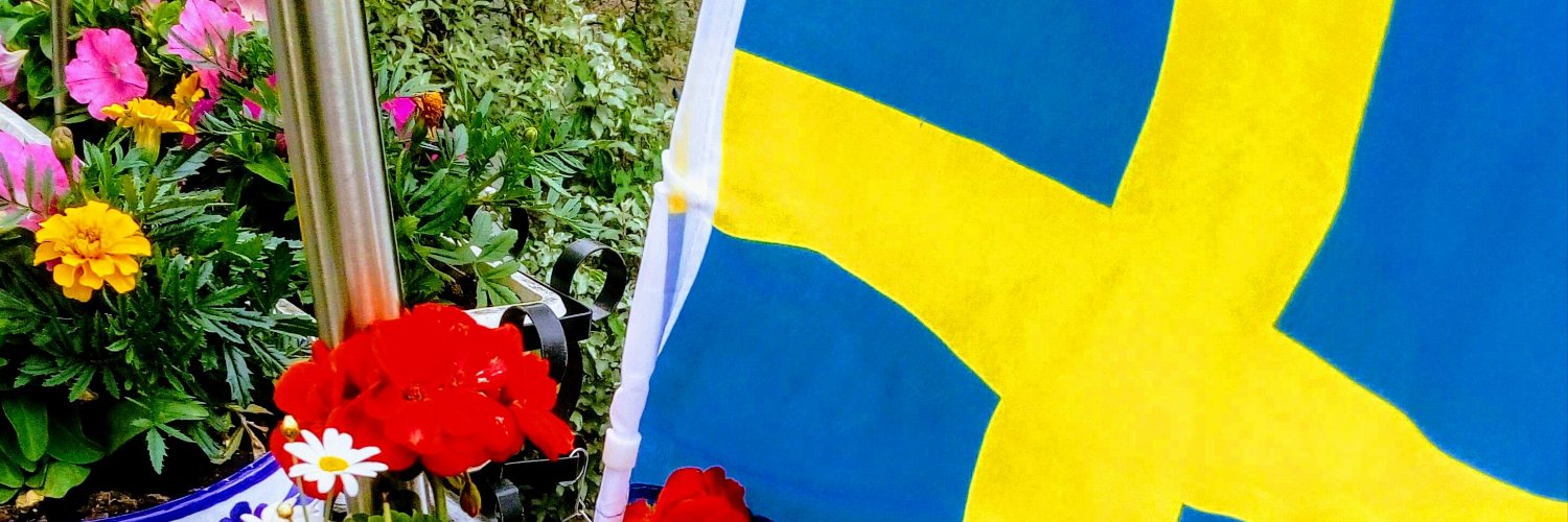 Anja Alm🐲🇸🇪🇸🇪🇸🇪 banner
