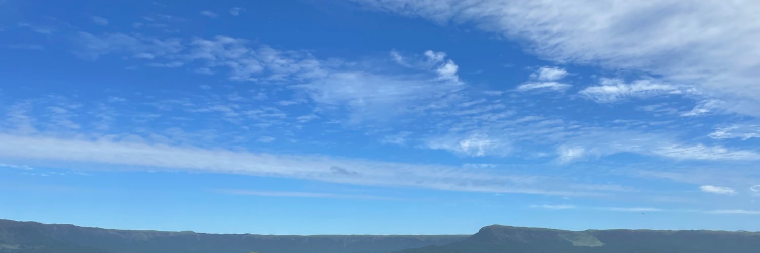 雨森 banner