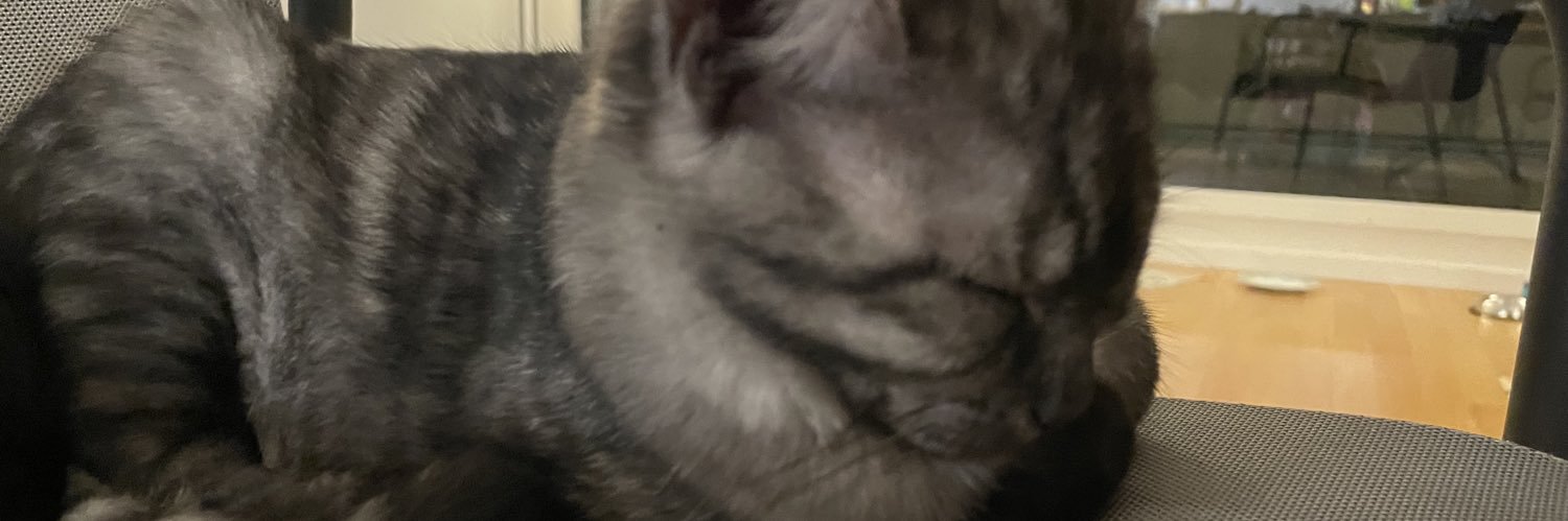 neftz's profile banner image