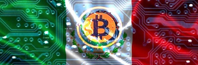 MexicanCrypto's profile banner image