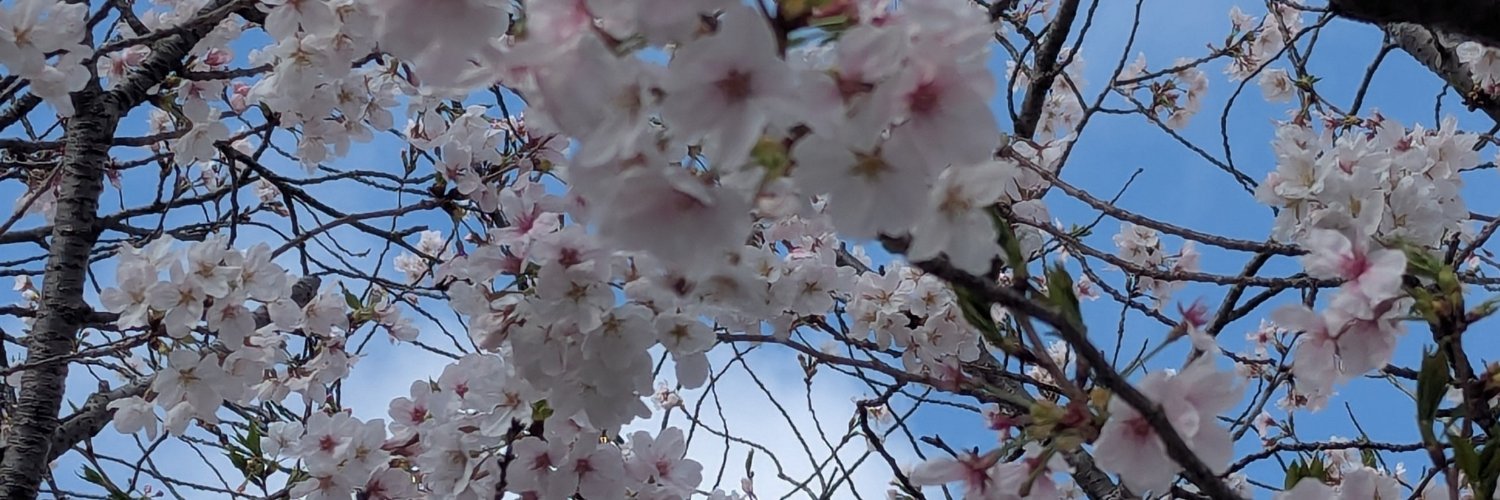 tsukuyomi529896's profile banner image