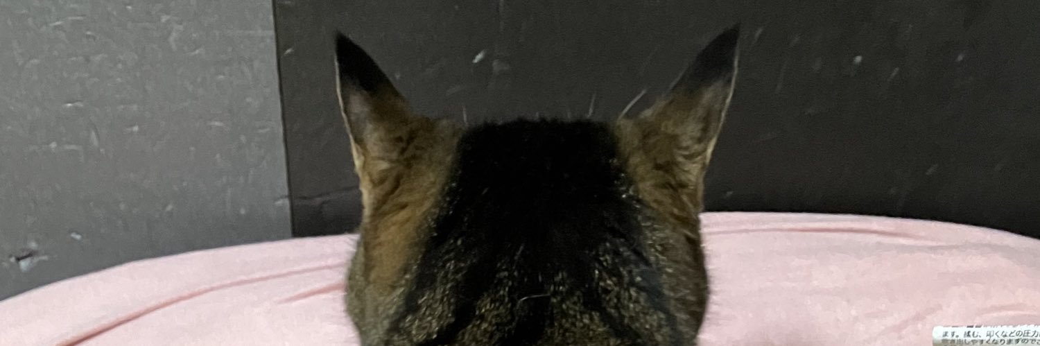 tigersplash's profile banner image