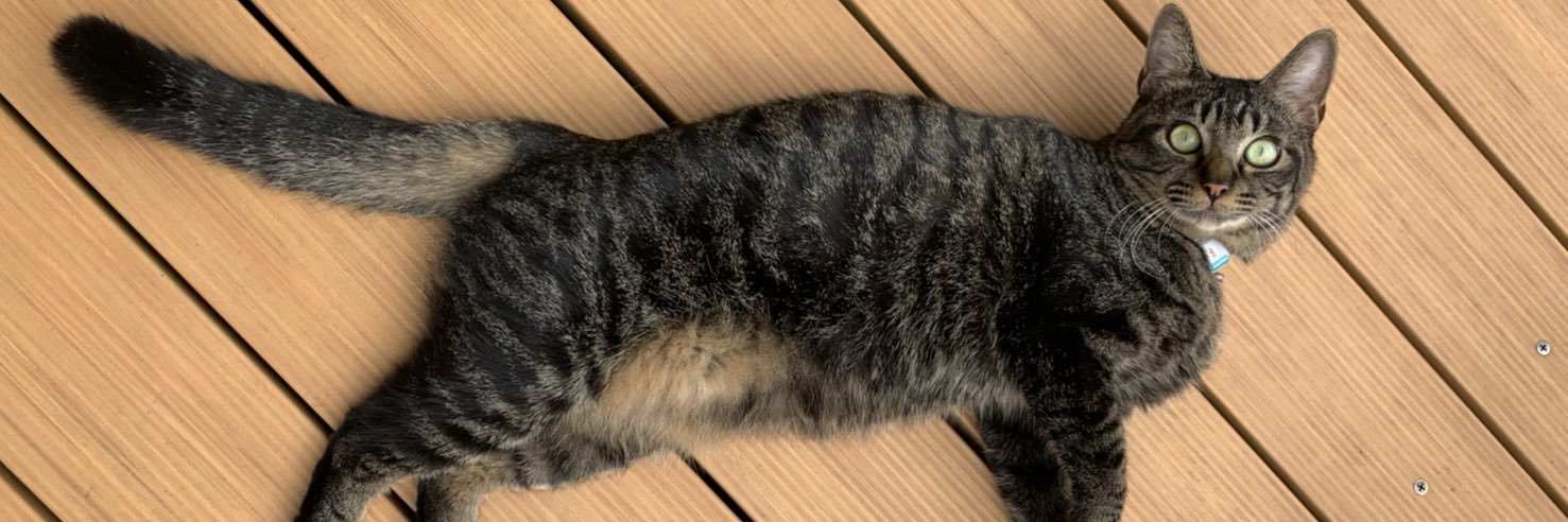 オイコス 無糖 banner