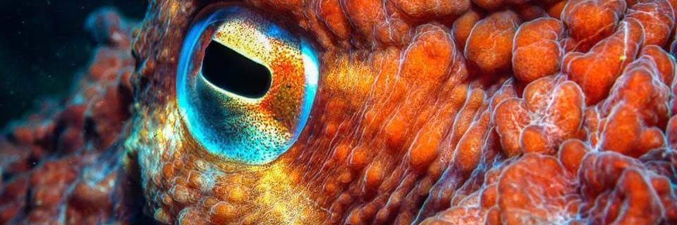 Rooogerp's profile banner image