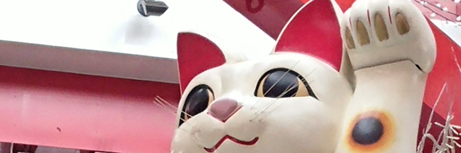 redtree0820's profile banner image