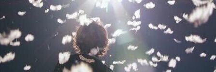 cartonote's profile banner image