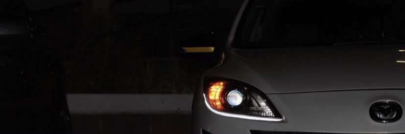 Rodrigo Ibarra banner