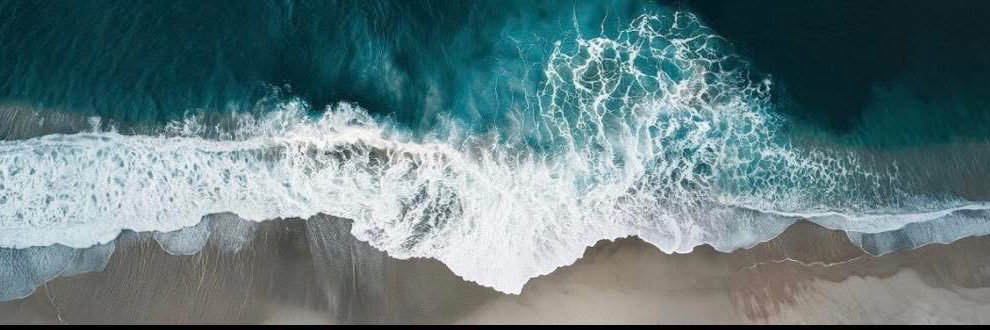 TheOCcryptobro's profile banner image