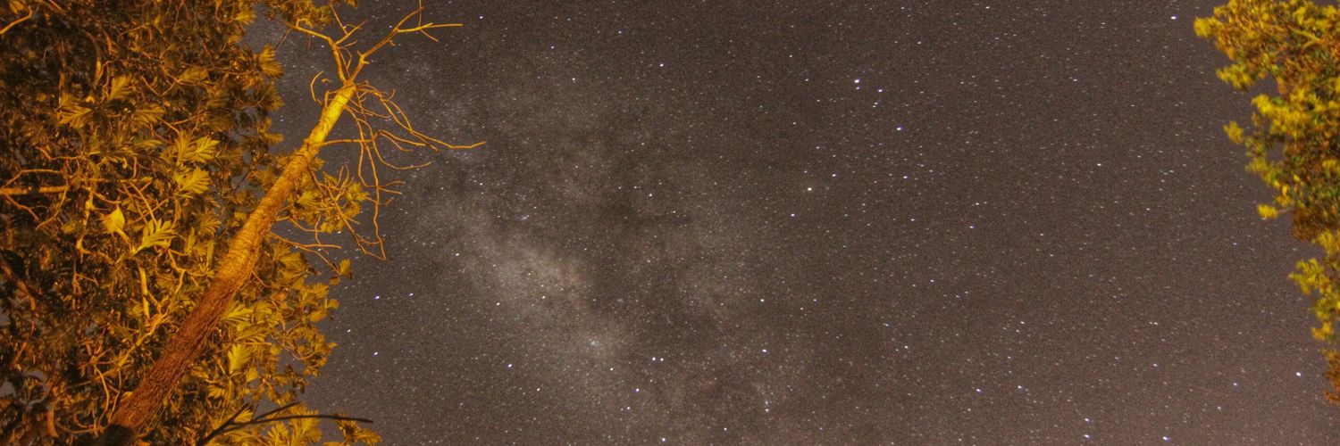 piggod787's profile banner image