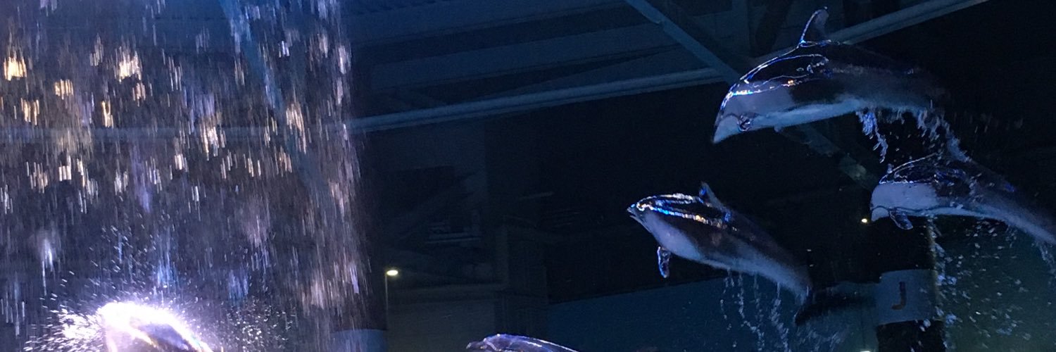 setaosan's profile banner image