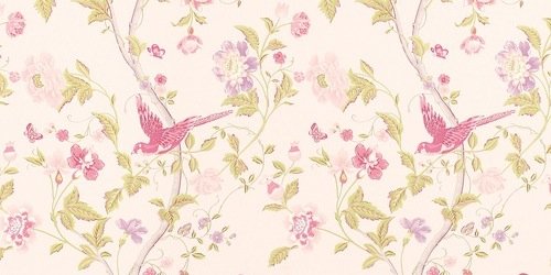 suchy sugiarto banner