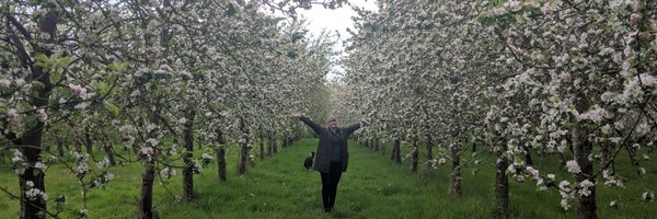 RossCider Profile Banner