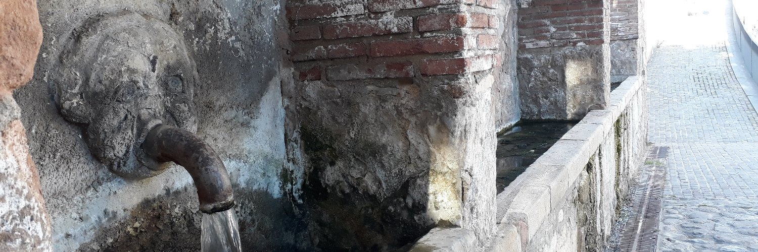 martaropa's profile banner image