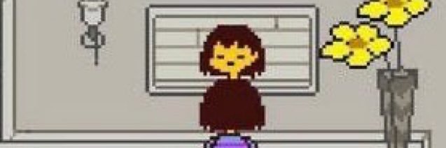 mateus bandeira ✨ banner