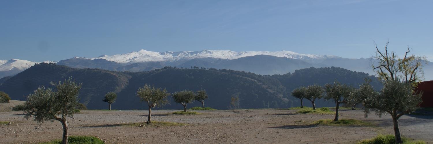 aurimus's profile banner image