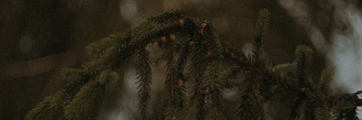 Іолана, а не Ілона's banner