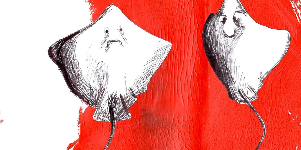 WeGotRocket's profile banner image