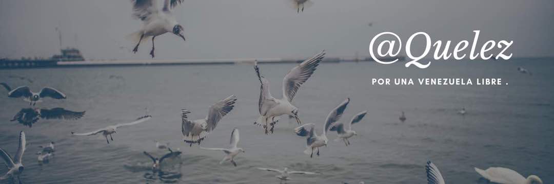 T.Gonzalez 🇻🇪💖🇪🇦♥️🇱🇷💖 🇯🇵💜🇰🇷💝 banner