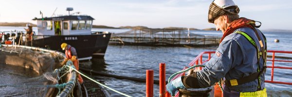 GriegShetland Profile Banner