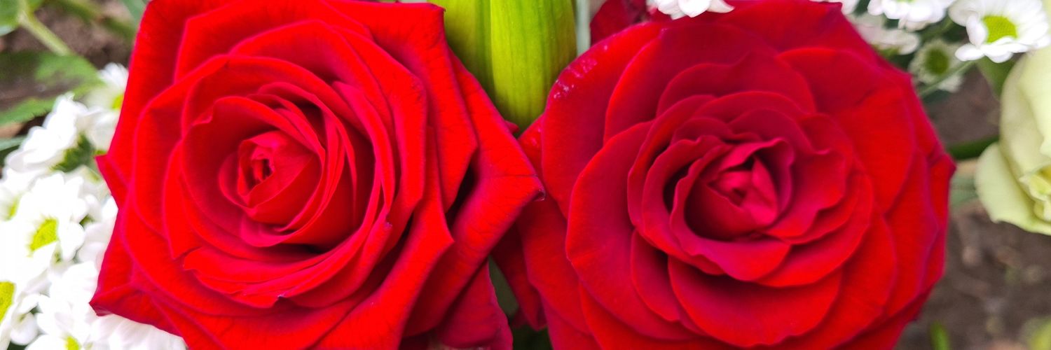Pam_ela24's profile banner image