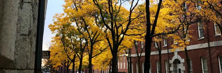 The Castle Group banner