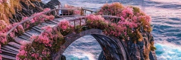 محمد ابو تركي banner