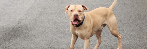 Gemnffc Profile Banner