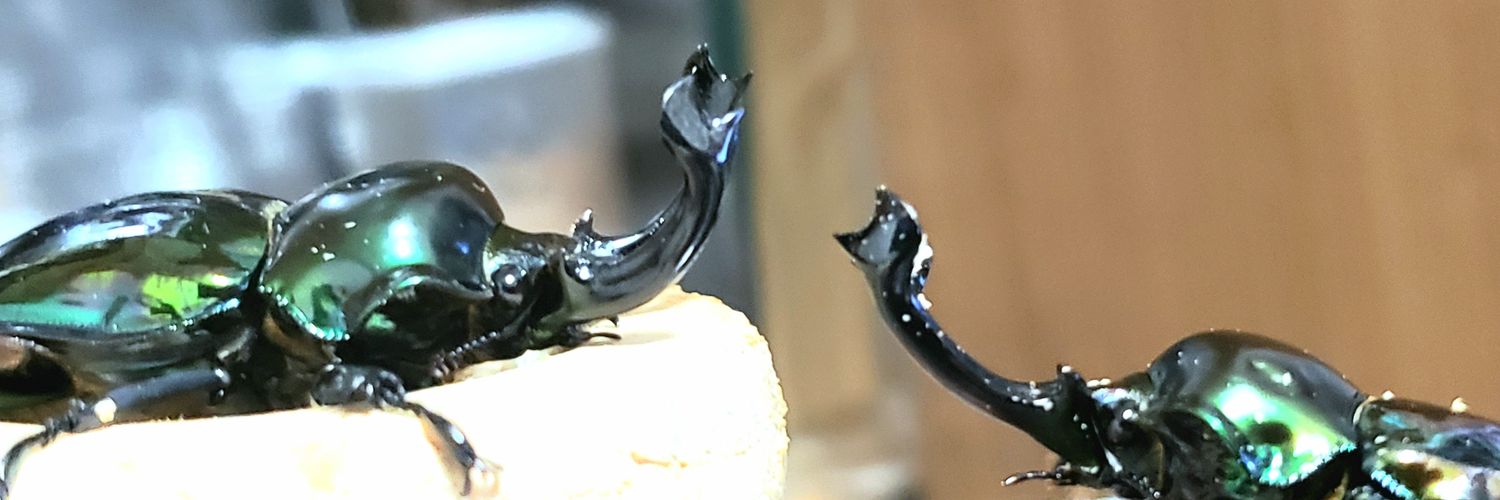 艶麗　鍬吉 banner