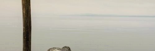 Gabriel Hasbun banner