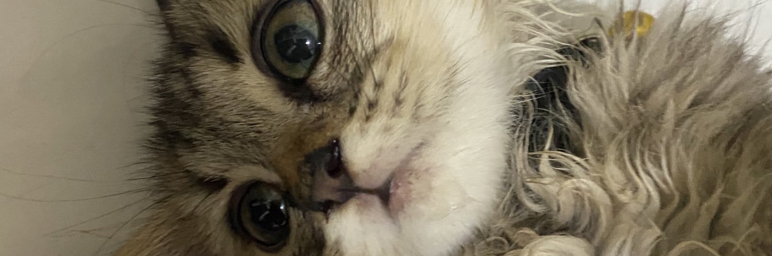 rayxnda's profile banner image