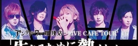 daisuki917's profile banner image