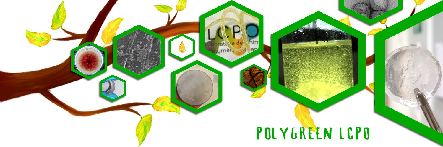 LCPO_PolyGreen banner