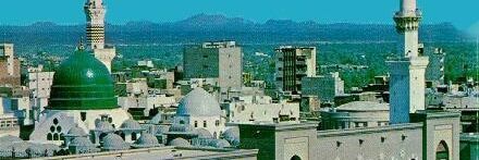 د . جمال السيد banner