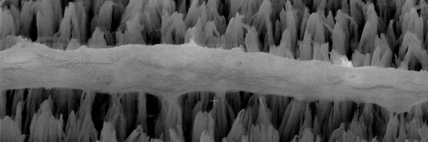 Khashayar Modaresifar banner