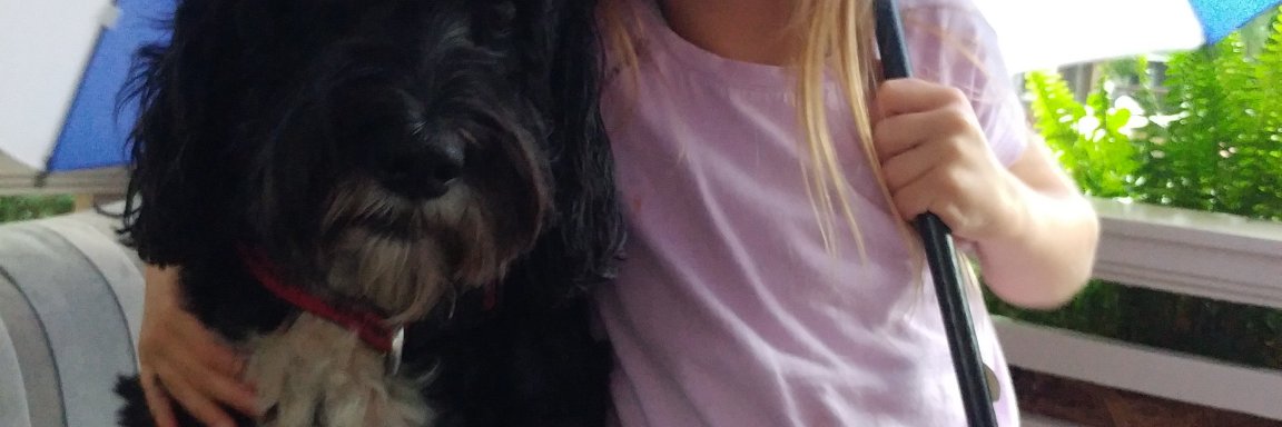 dmjfree's profile banner image