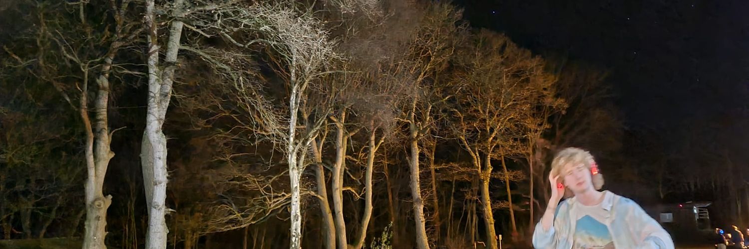 realpolartyler's profile banner image