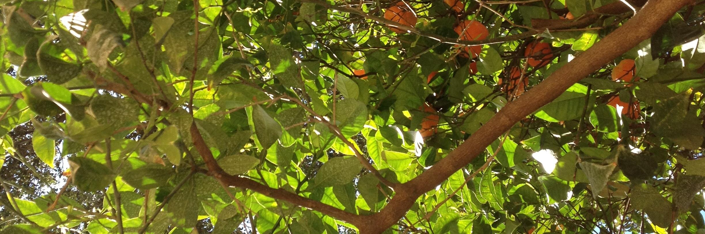 cathman2's profile banner image