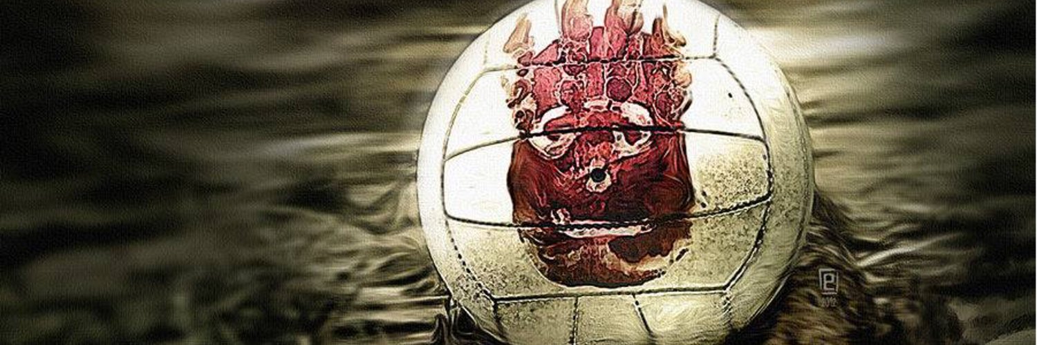 Wilson Withiam banner