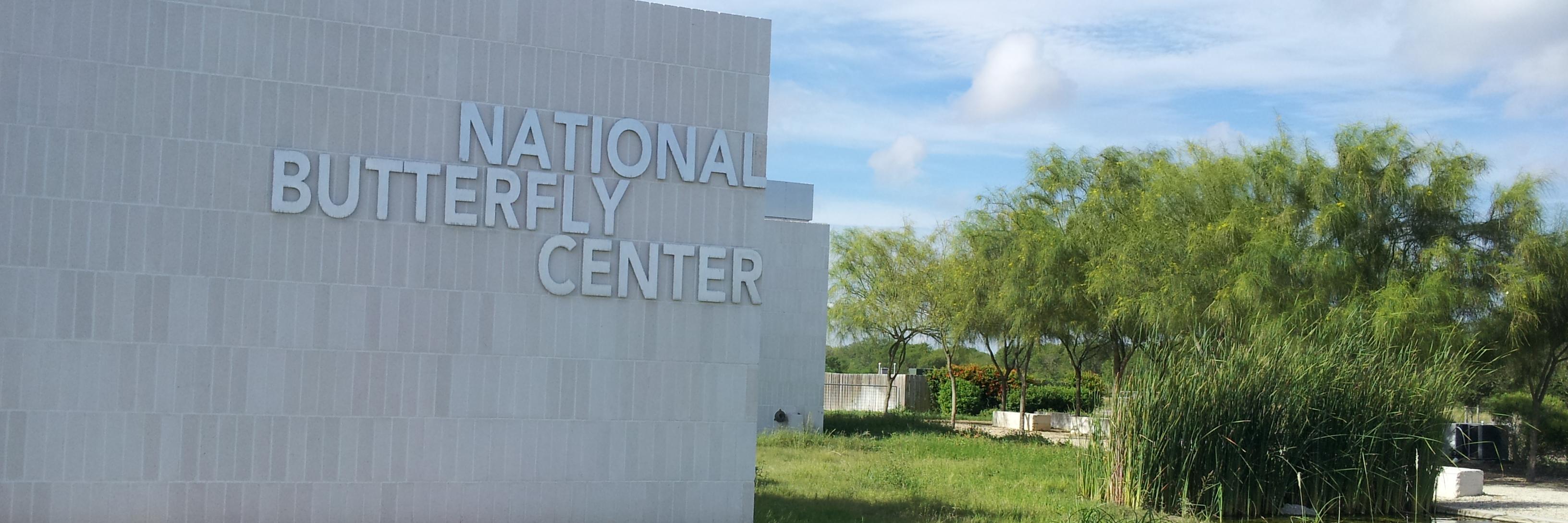National Butterfly 🦋 banner