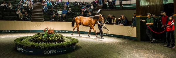 GoffsNordic Profile Banner