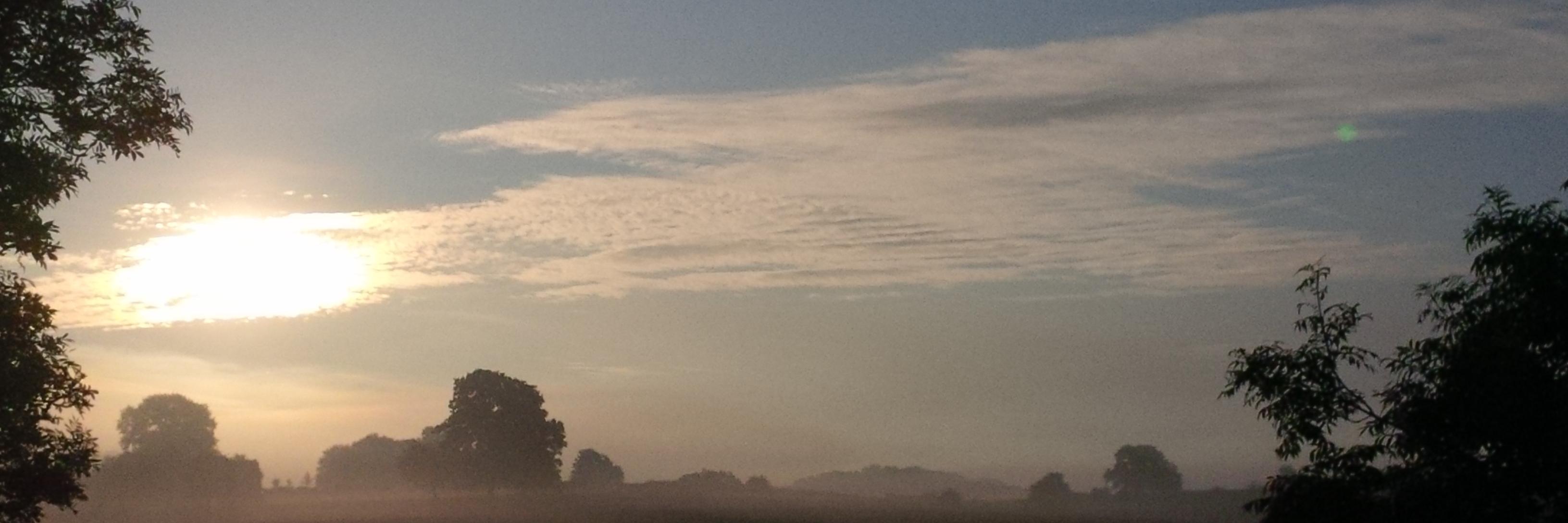 Claude Scheuer banner