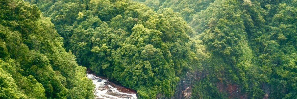 ipn_addp's profile banner image