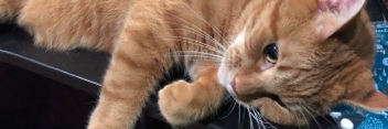 Acidrockkk's profile banner image