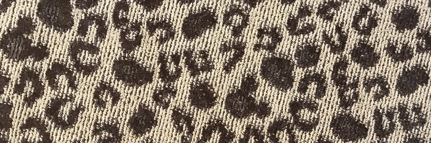 MeauxTennis's profile banner image