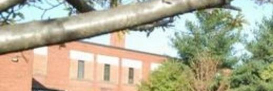 Whitney Boring banner