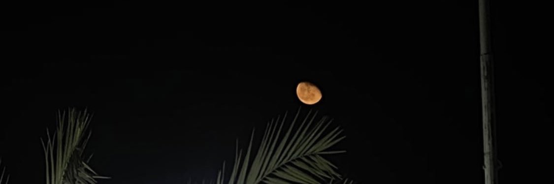 shreefaM's profile banner image