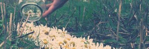 RoPinanez's profile banner image